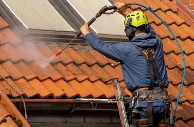 Démoussage et hydrofuge de toiture à Clumanc